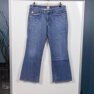 X2 Denim Laboratory Petite Flare Jeans